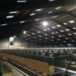 Dette er den første del af en ny minkfarm på i alt 4.100 m2 hvor vi har lavet lys, tavler, automatik og ny indføring.
